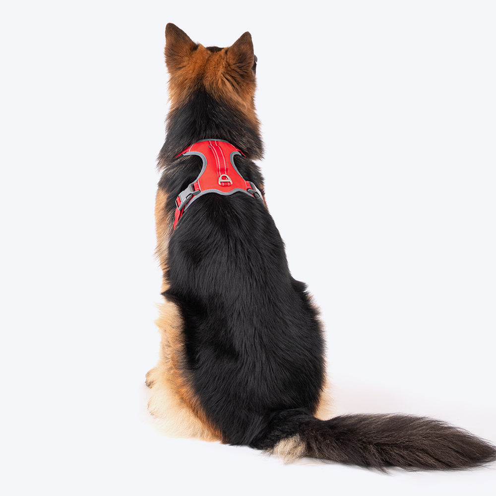 HUFT Active Pet Dog Harness - Red - Heads Up For Tails