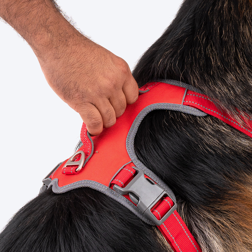 HUFT Active Pet Dog Harness - Red - Heads Up For Tails