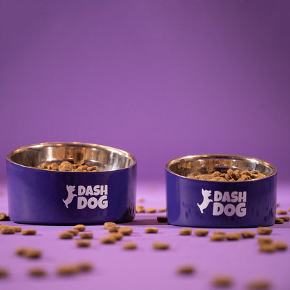 Dash Dog Eclipse Bowl For Pets - Heads Up For Tails