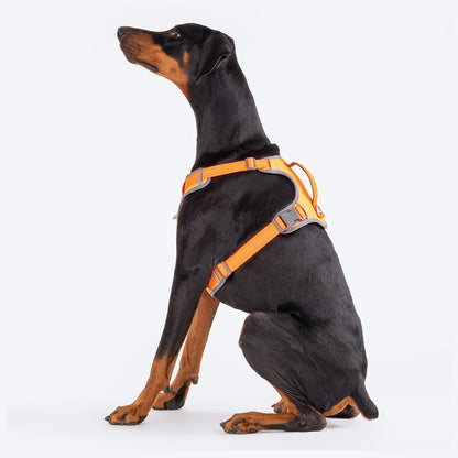 HUFT Active Pet Dog Harness - Orange - Heads Up For Tails