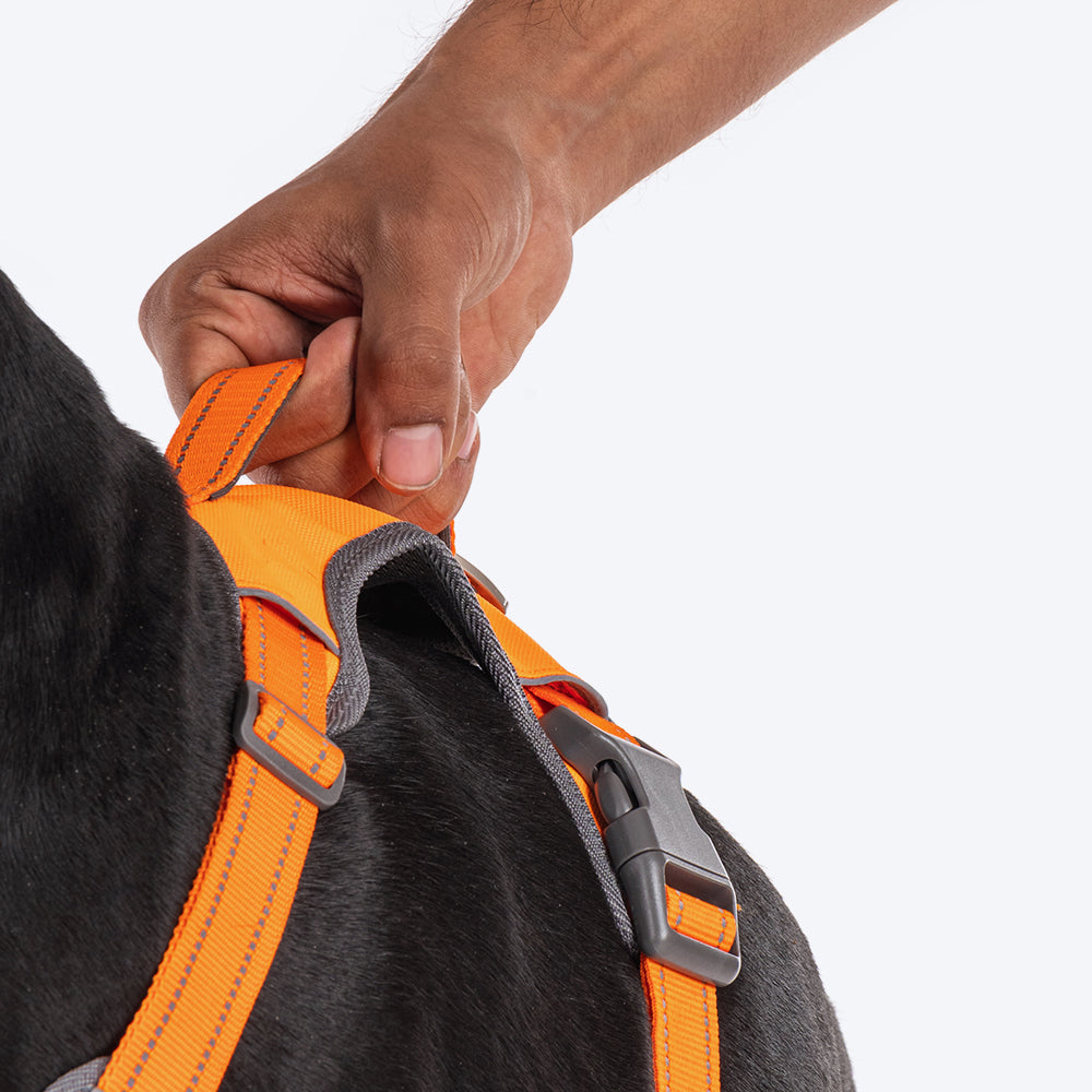 HUFT Active Pet Dog Harness - Orange - Heads Up For Tails