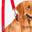 HUFT Basics Dog Leash - Crimson Red - Heads Up For Tails