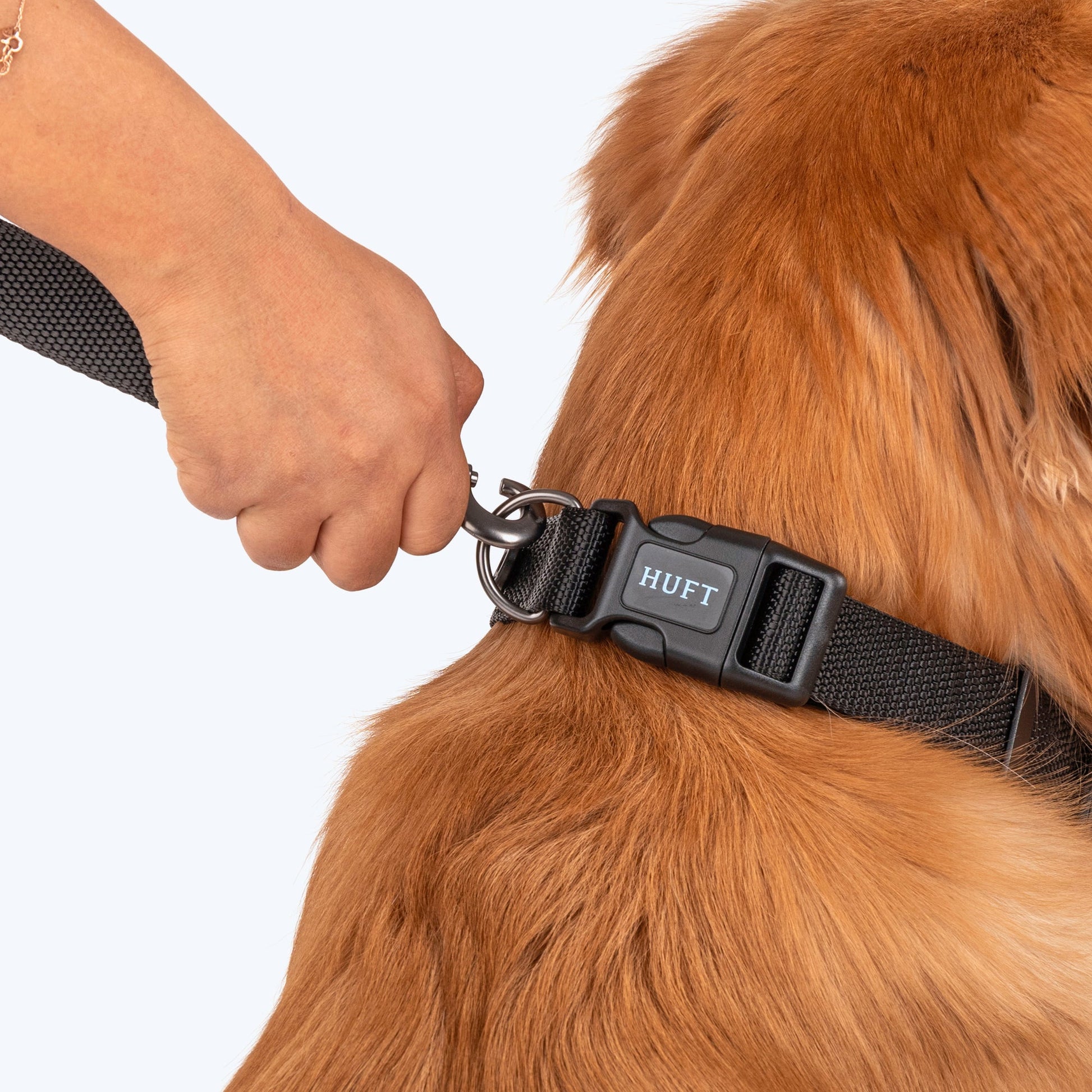 HUFT Basics Dog Collar - Classic Black - Heads Up For Tails