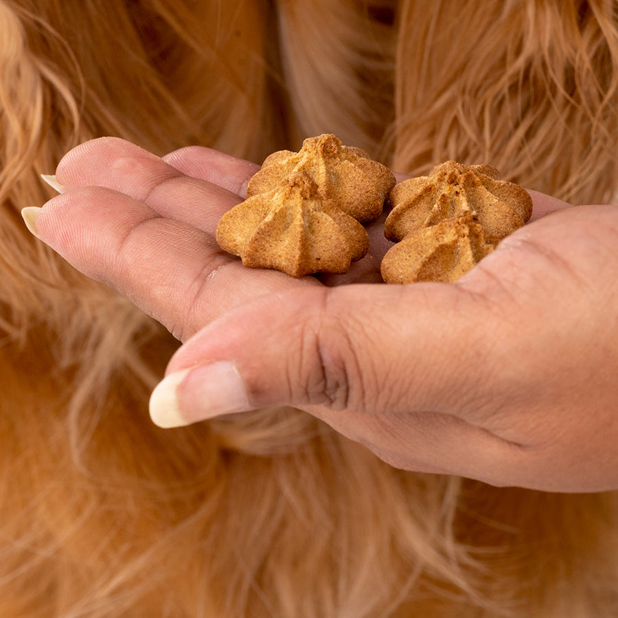 HUFT Goat Milk Dog Cookies - Blueberries - 200 gm - Heads Up For Tails