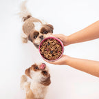 HUFT All Day Muesli with Strawberry, Blueberry and Cranberry Doggie Treats - 250 g - Heads Up For Tails