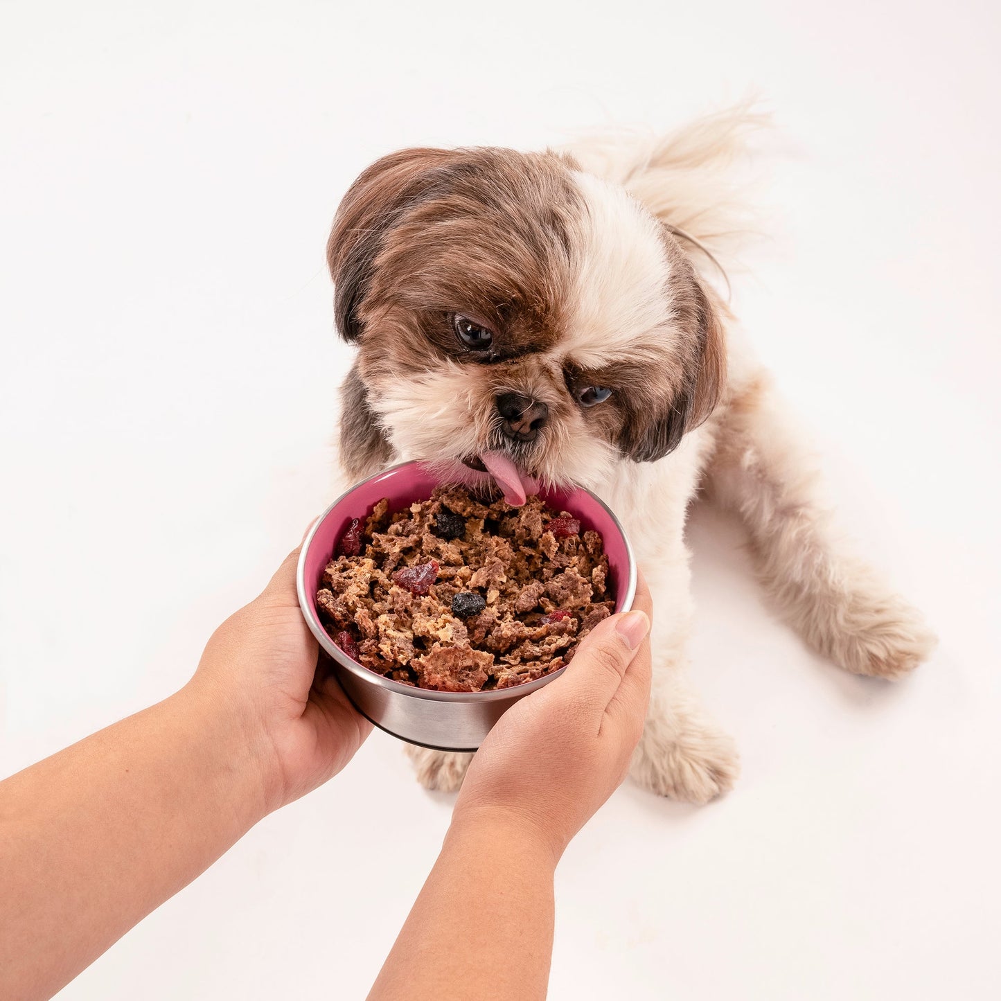 HUFT All Day Muesli with Strawberry, Blueberry and Cranberry Doggie Treats - 250 g - Heads Up For Tails