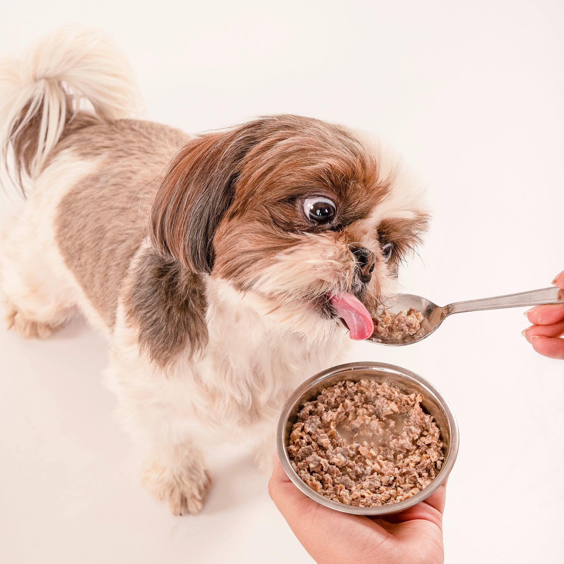 HUFT All Day Muesli with Chicken, Carrots and Beetroot Doggie Treats - 250 g - Heads Up For Tails