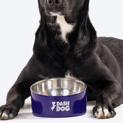 Dash Dog Eclipse Bowl For Pets - Heads Up For Tails