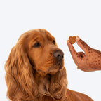 HUFT Nutri Treats For Dogs - Skin & Coat Support - 150 g - Heads Up For Tails