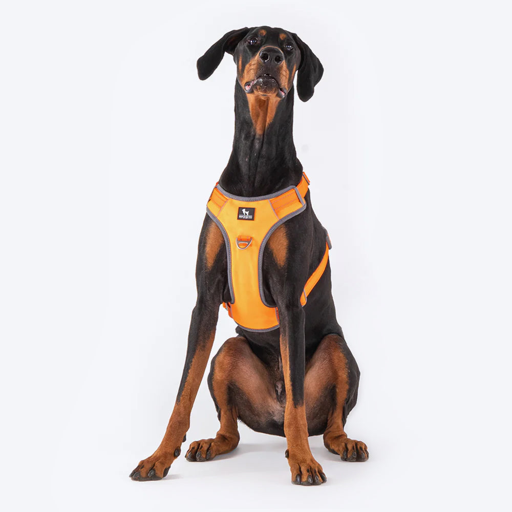 HUFT Active Pet Dog Harness - Orange - Heads Up For Tails