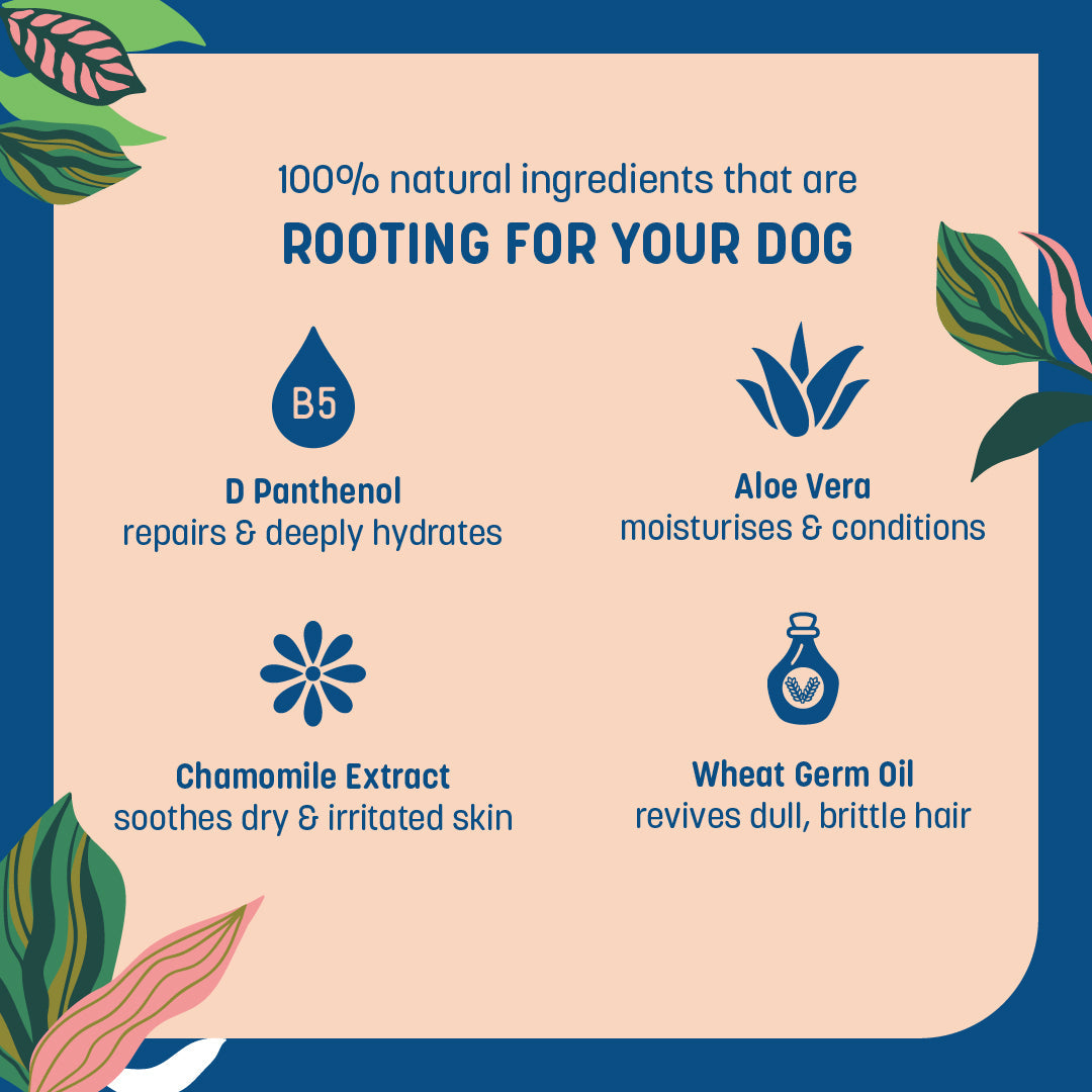 HUFT Natural Activated Charcoal Shampoo For Dogs - Heads Up For Tails