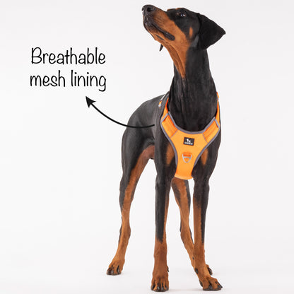 HUFT Active Pet Dog Harness - Orange - Heads Up For Tails