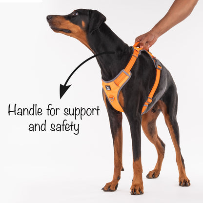 HUFT Active Pet Dog Harness - Orange - Heads Up For Tails