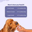 HUFT Goat Milk Dog Cookies - Blueberries - 200 gm - Heads Up For Tails