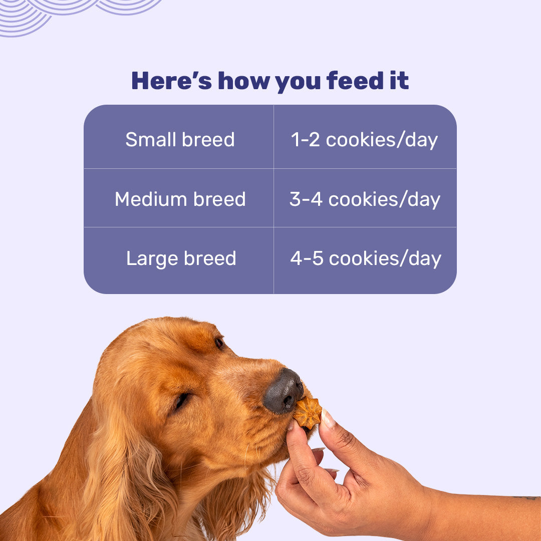 HUFT Goat Milk Dog Cookies - Blueberries - 200 gm - Heads Up For Tails