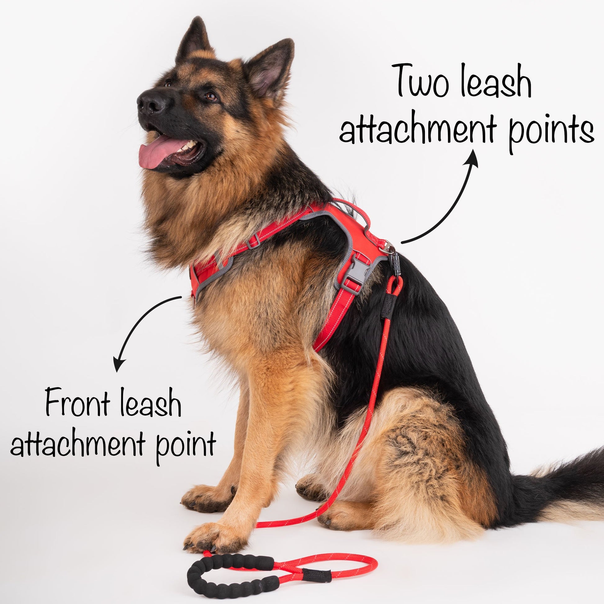 HUFT Active Pet Dog Harness - Red - Heads Up For Tails