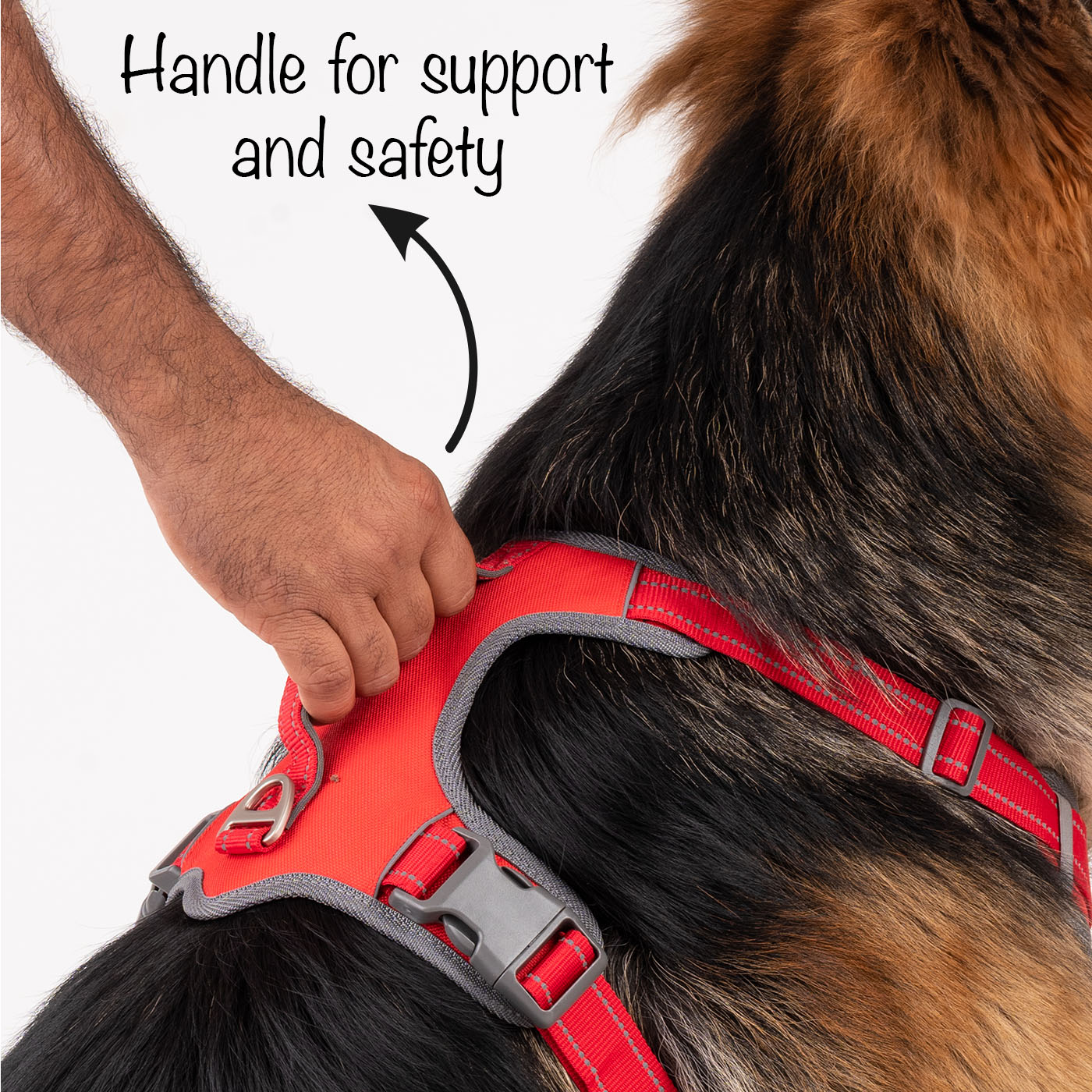 HUFT Active Pet Dog Harness - Red - Heads Up For Tails