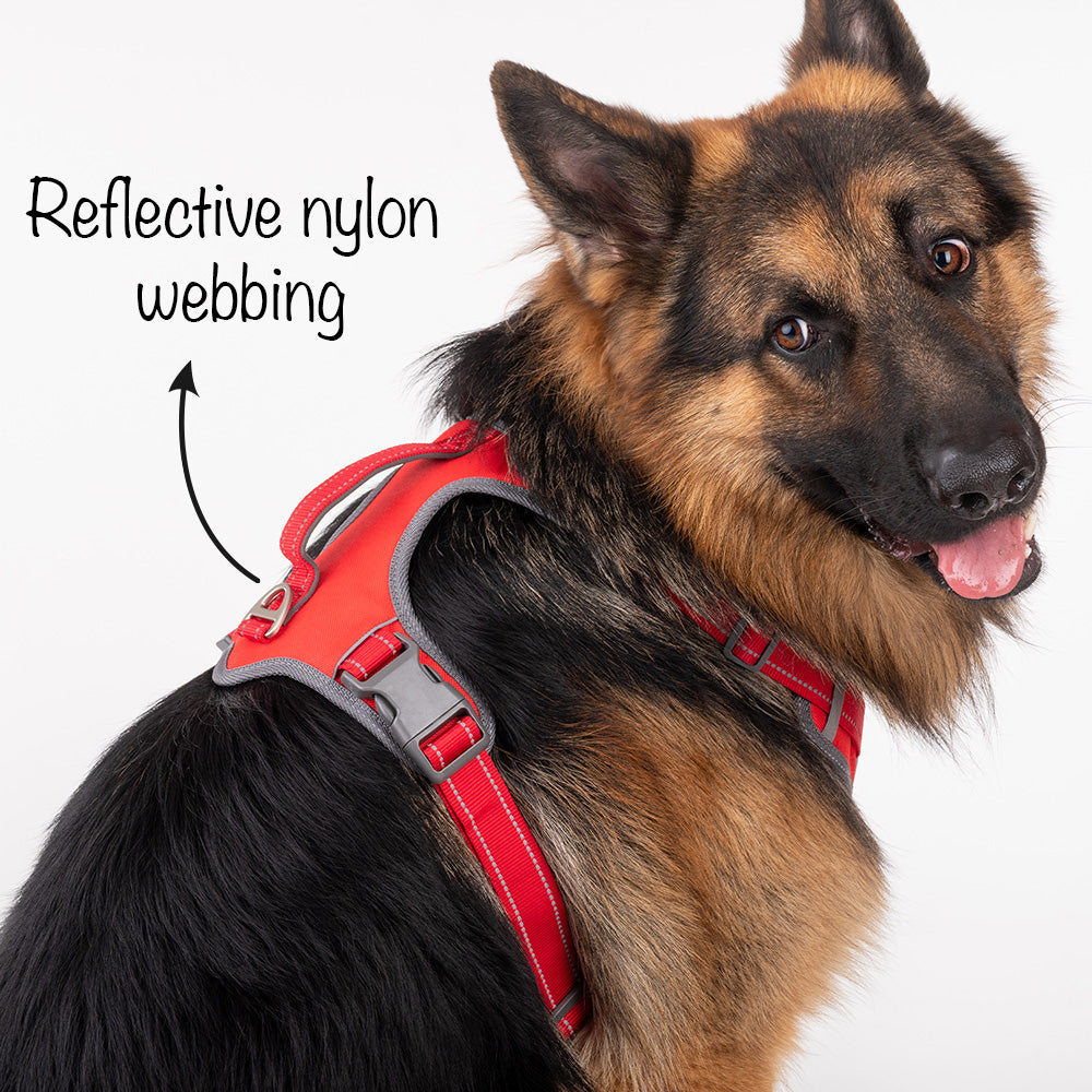 HUFT Active Pet Dog Harness - Red - Heads Up For Tails